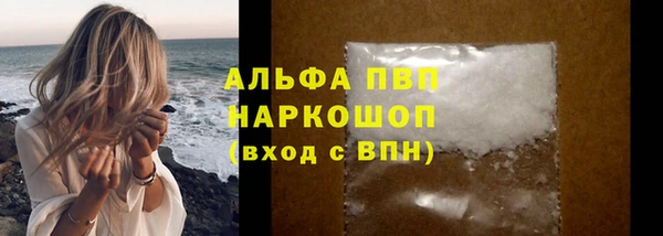 молекула духа Горняк